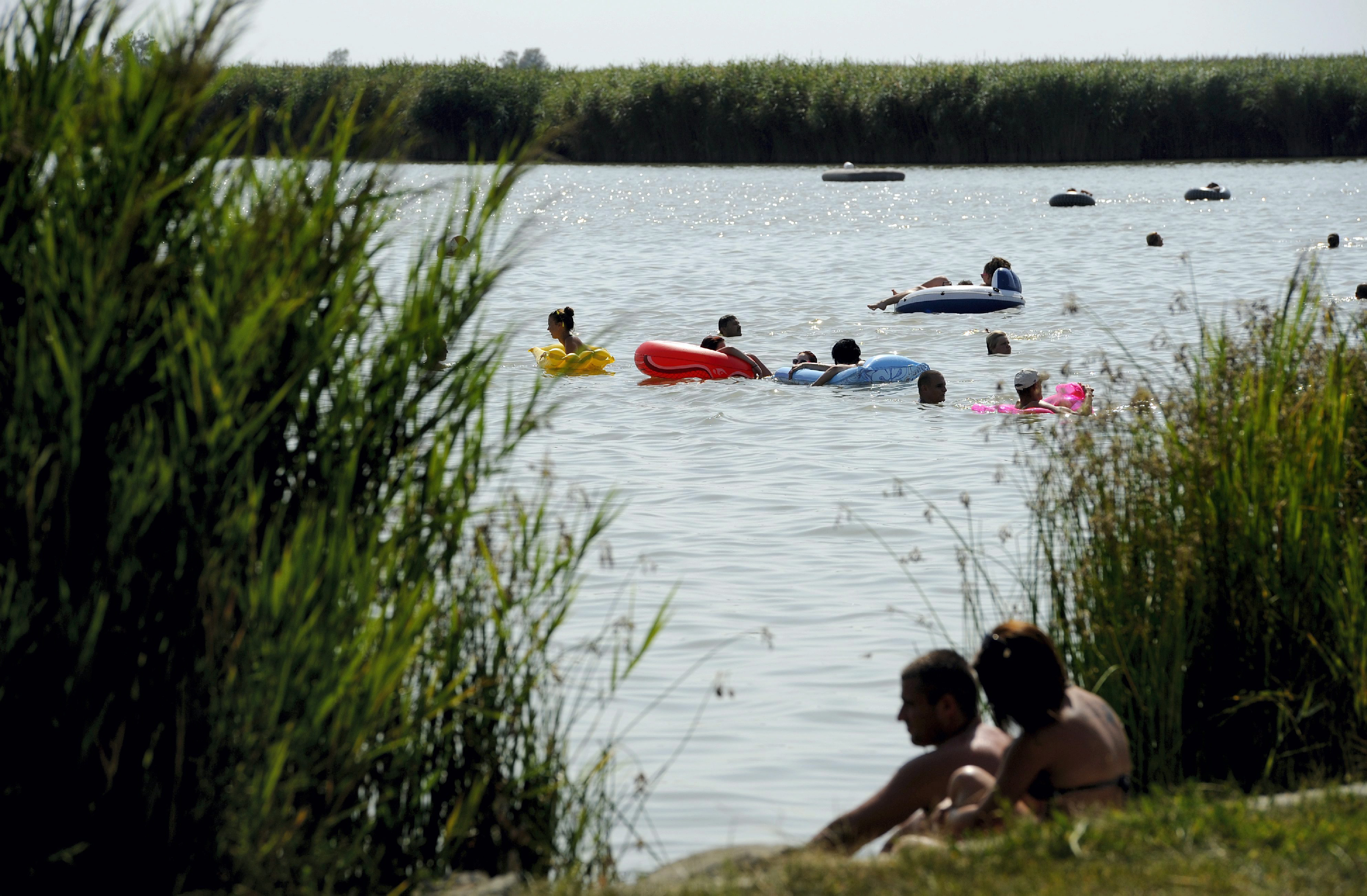 Hivatalos: nem szennyező a Velencei-tó vize