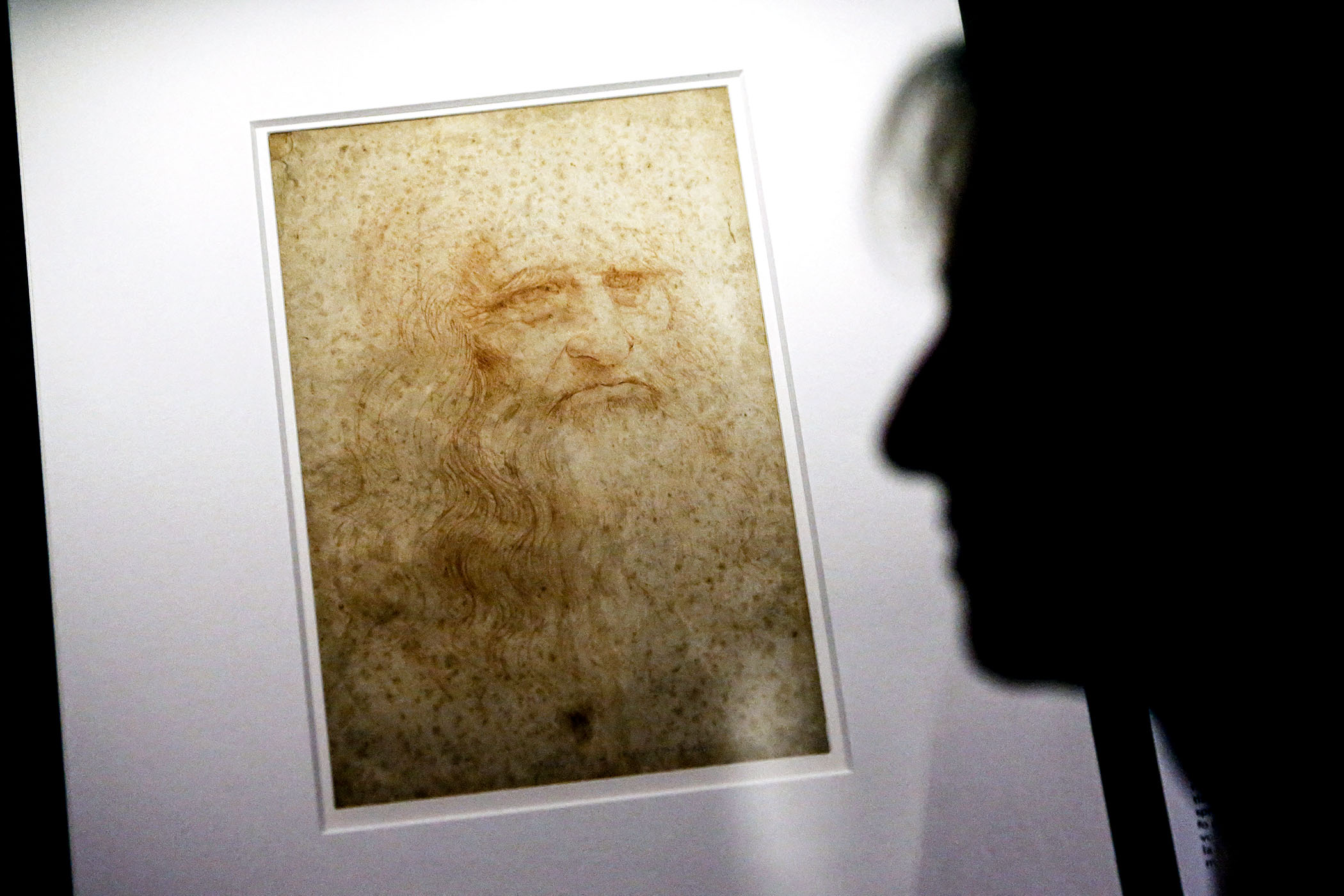 Egy friss kutatás szerint Leonardo da Vincinek 14 élő férfi rokona van