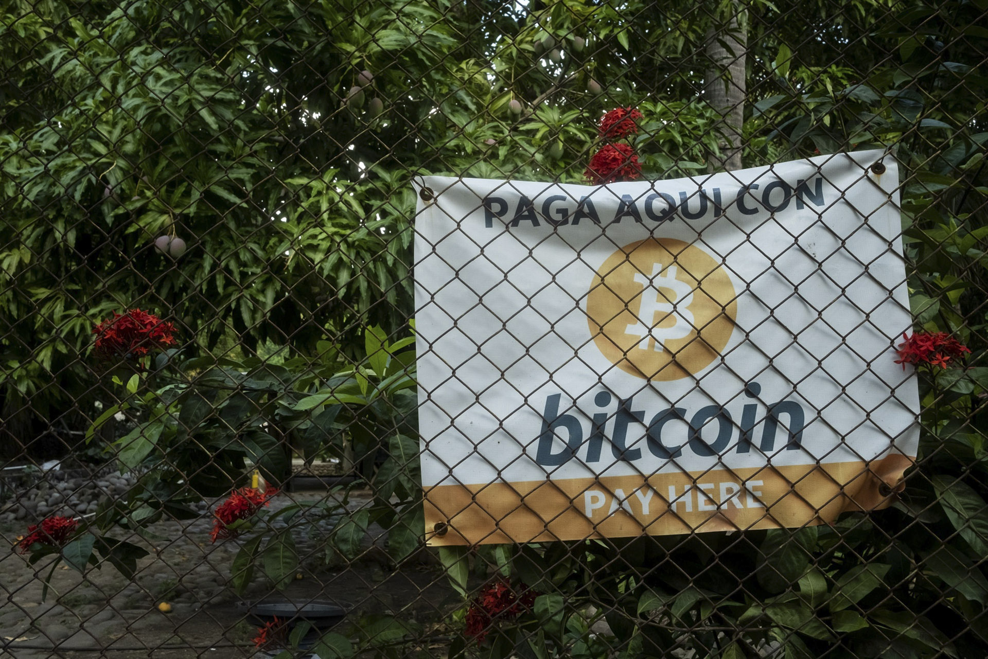 Felrobbanthatja El Salvador és a Bitcoin a világot
