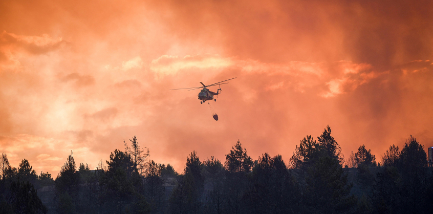 Erdőtüzek veszélyére figyelmeztet a Nébih, több megyében elrendelték a tűzgyújtási tilalmat