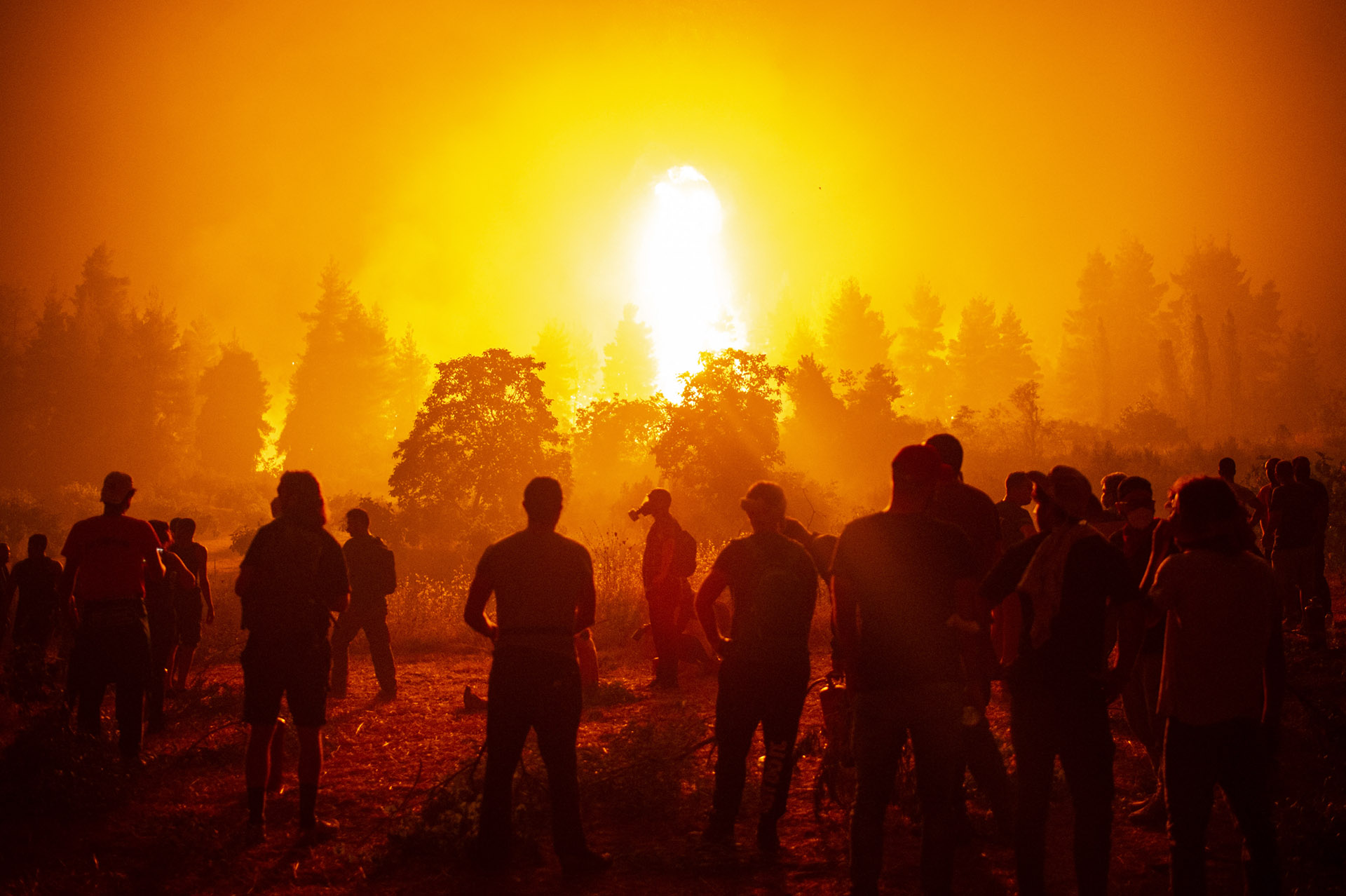 Kilencvenezer hektárnyi terület vált a tűz martalékává Görögországban