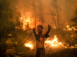 Klímaválság: közel kétszer annyi fa égett le erdőtűzben húsz év alatt mint előtte