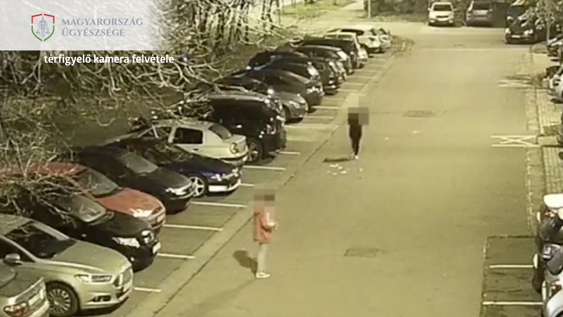 Videón: egy 14 éves lány és társa erőszakosan kirabolnak egy embert Budapesten