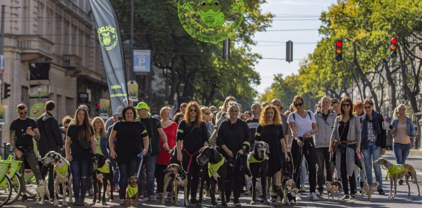 Biciklizés helyett kutyasétáltatásra hív a Kutyás Critical Mass