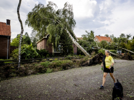 Brutális erősségű szél, kicsavart fák: példátlan természeti csapás érte Kaposvárt
