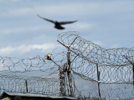 Dánia 15 millió eurós megállapodást kötött börtöncellák bérléséről
