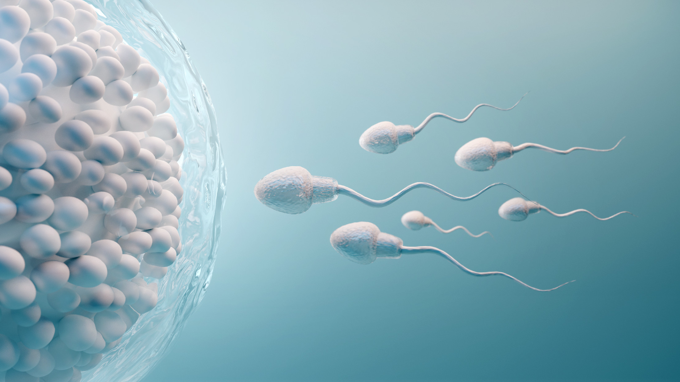 A jövő fogamzásgátlója lehet a spermakábító
