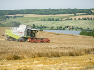 Ukrán gabona – A gazdák már a behozatali tilalom eltörlésére készülnek