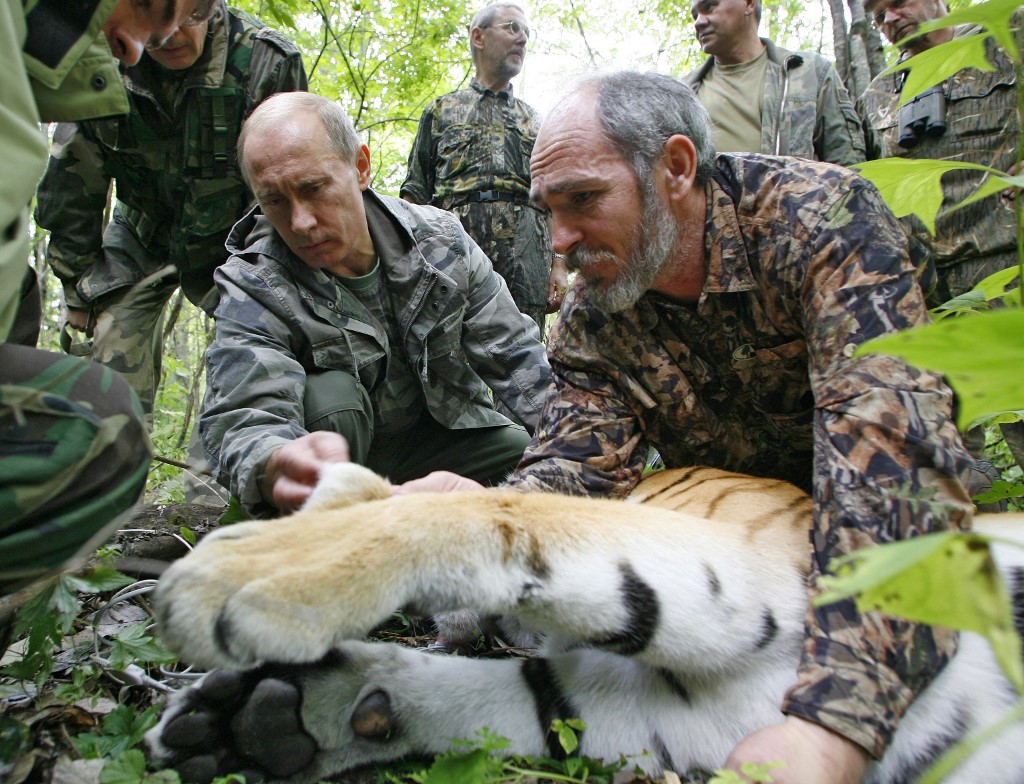 Meghalt a Putyin nevű tigris