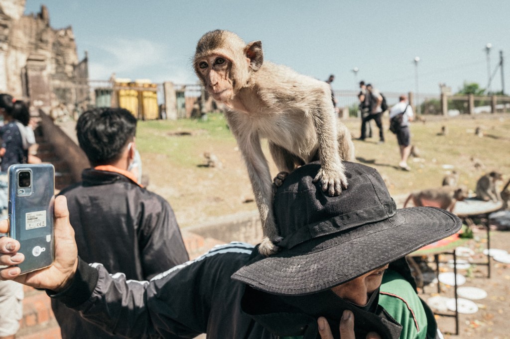 Saját agyával mozgatott robotkezet egy majom Kínában