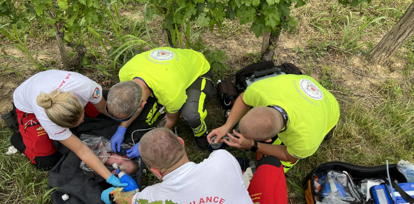 Átadták a magyar rendőrségnek azt a nőt, aki magára hagyta újszülöttjét a márfai szőlőhegyen