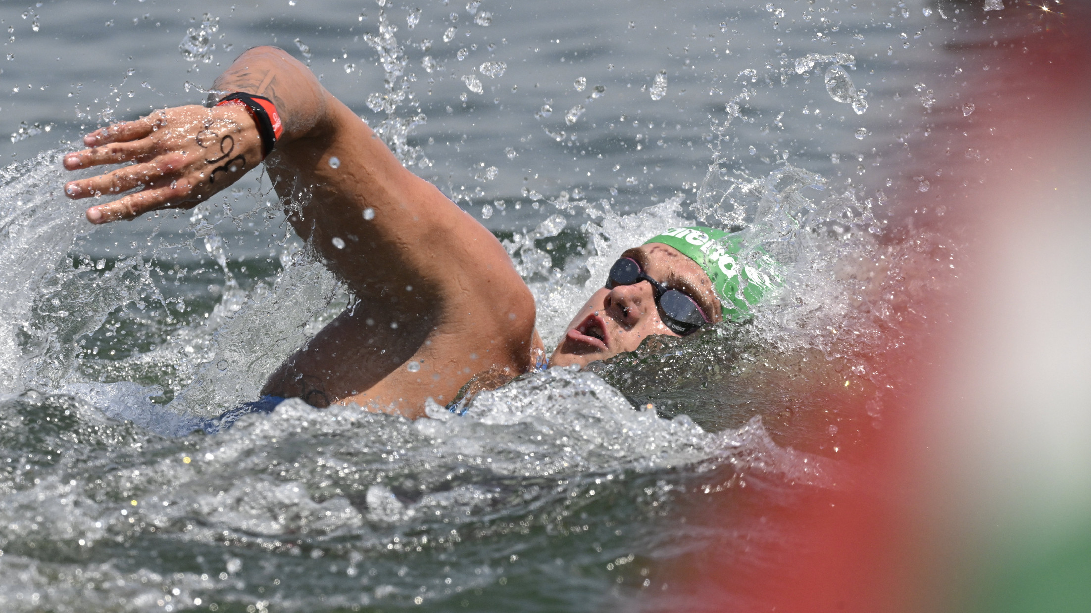 Rasovszky Kristóf nyerte a nyíltvízi úszók belgrádi Európa Kupa-versenyét