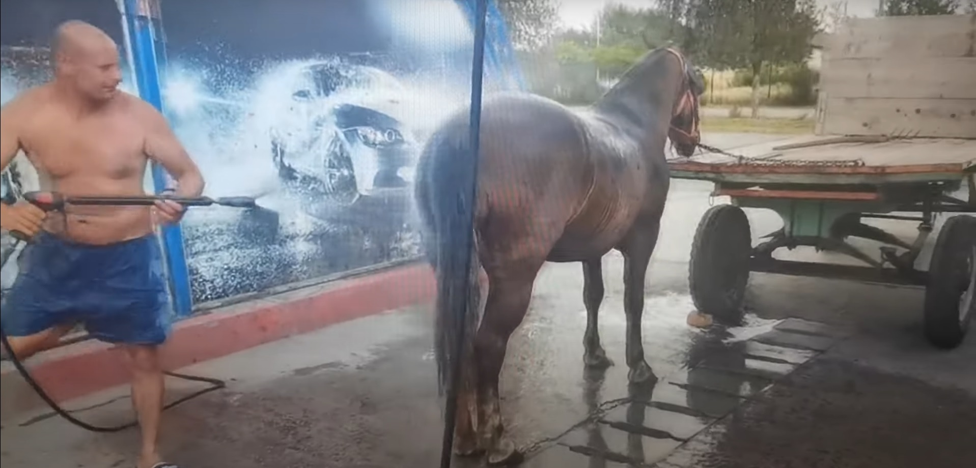Videó – Így mosd le a lovadat autómosóban