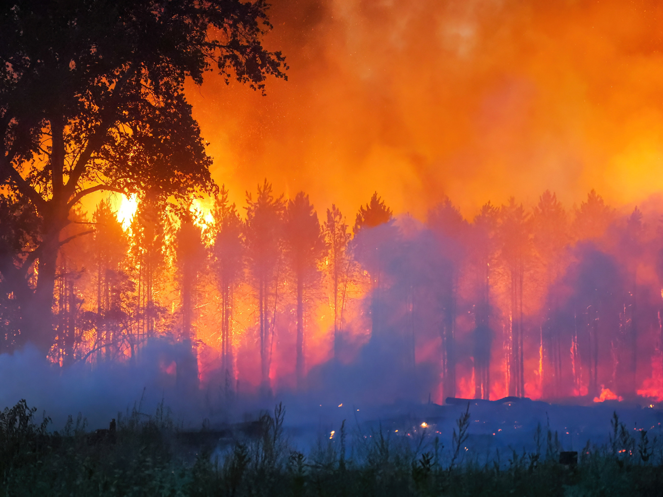Hiába az összefogás és a hősies munka: több hektárnyi erdő és tanya égett porig Soltszentimrénél