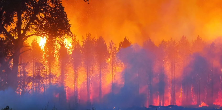 Hiába az összefogás és a hősies munka: több hektárnyi erdő és tanya égett porig Soltszentimrénél