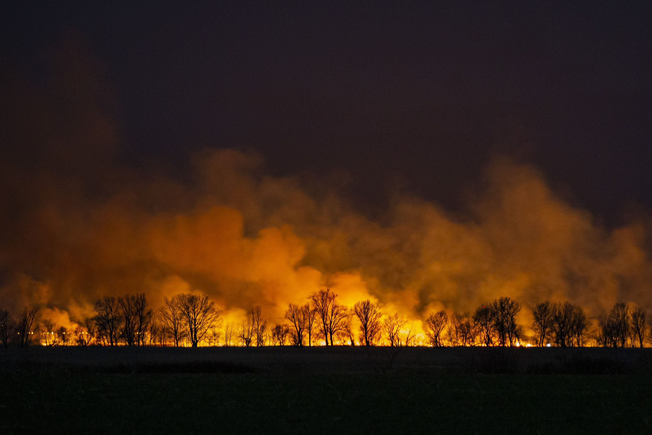 Égett a magaspart Balatonvilágoson