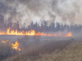 Már több mint 600 hektáron lángol a határ Örkény mellett