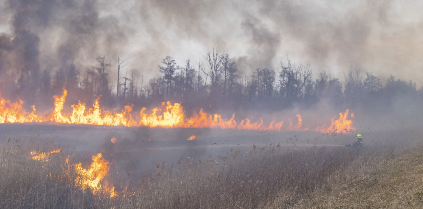 Már több mint 600 hektáron lángol a határ Örkény mellett