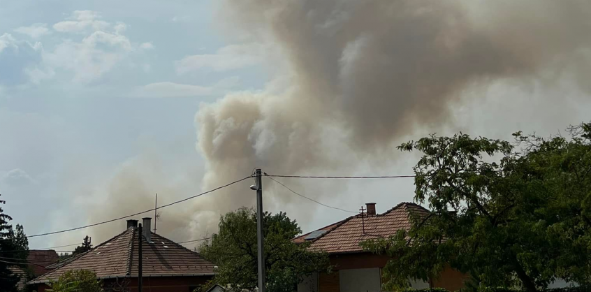 Újabb tűzhöz riasztották a tűzoltókat: ezúttal Pestszentimrén ég 8 hektár
