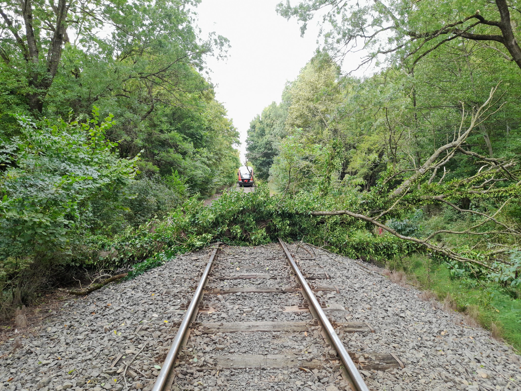 Több vonalon is késnek a vonatok a vihar miatt