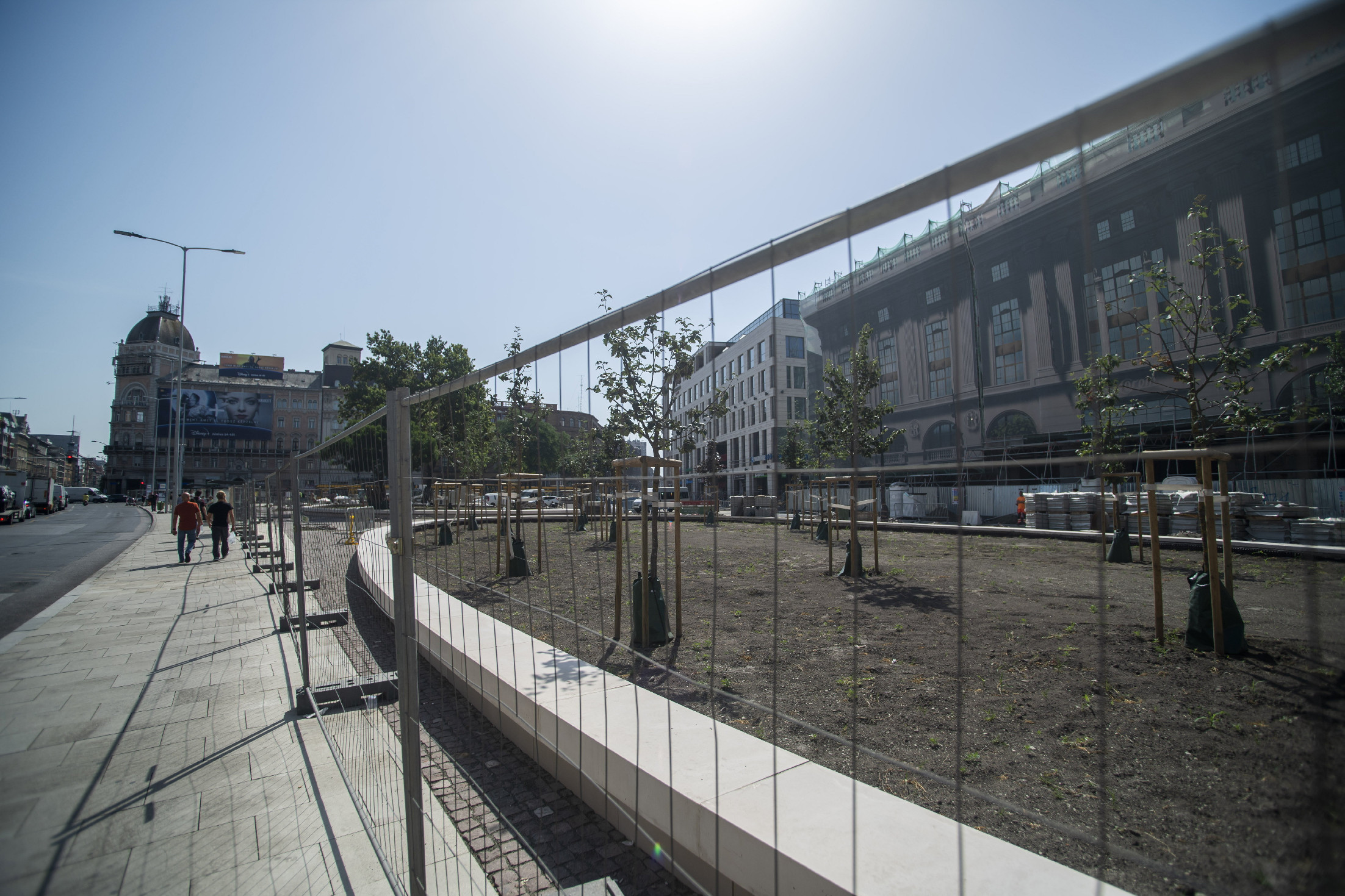 Nyolcvan fát ültetnek a megújuló Blaha Lujza térre