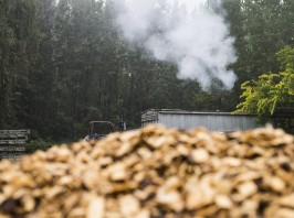 Romba döntheti Európát a biomassza
