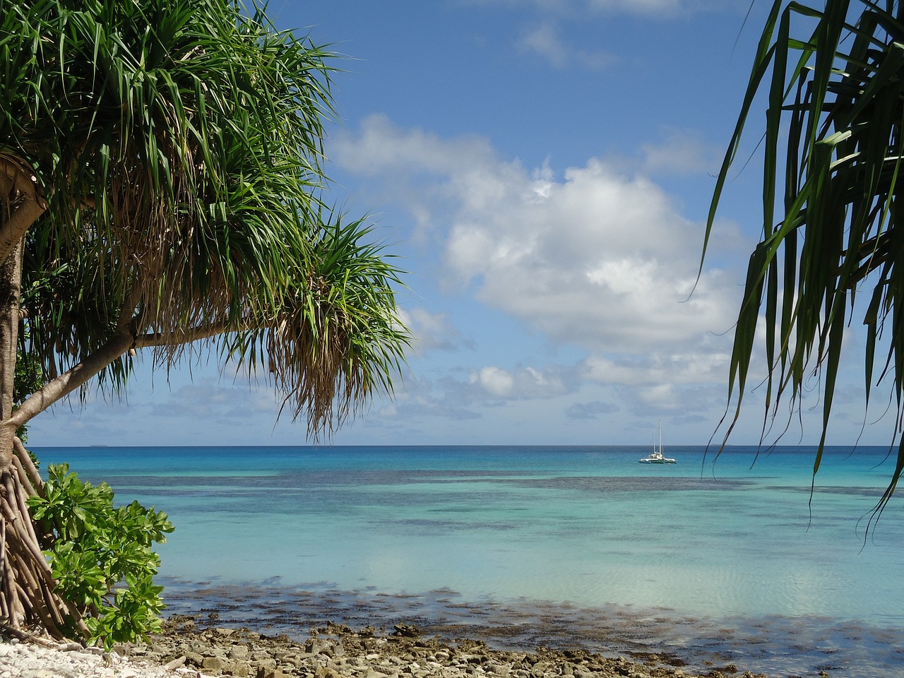 Tuvalu a netre költözik