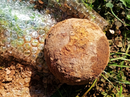 Szulejmán szultán is láthatta azt az ágyúgolyót, amit egy kőszegi kertben találtak