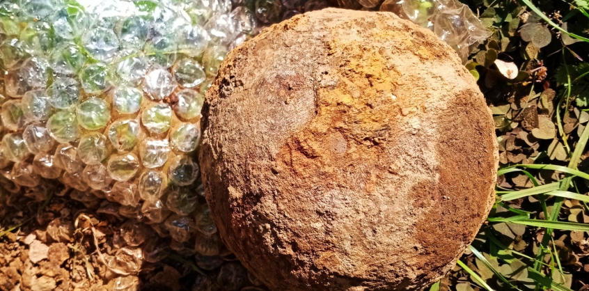 Szulejmán szultán is láthatta azt az ágyúgolyót, amit egy kőszegi kertben találtak