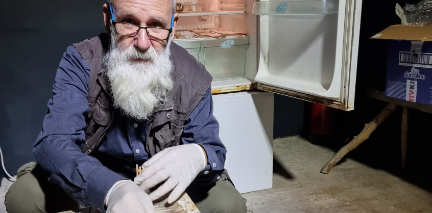 Láncfűrész, okoskapa, kilöttyenő paradicsomleves a Godot Intézetben