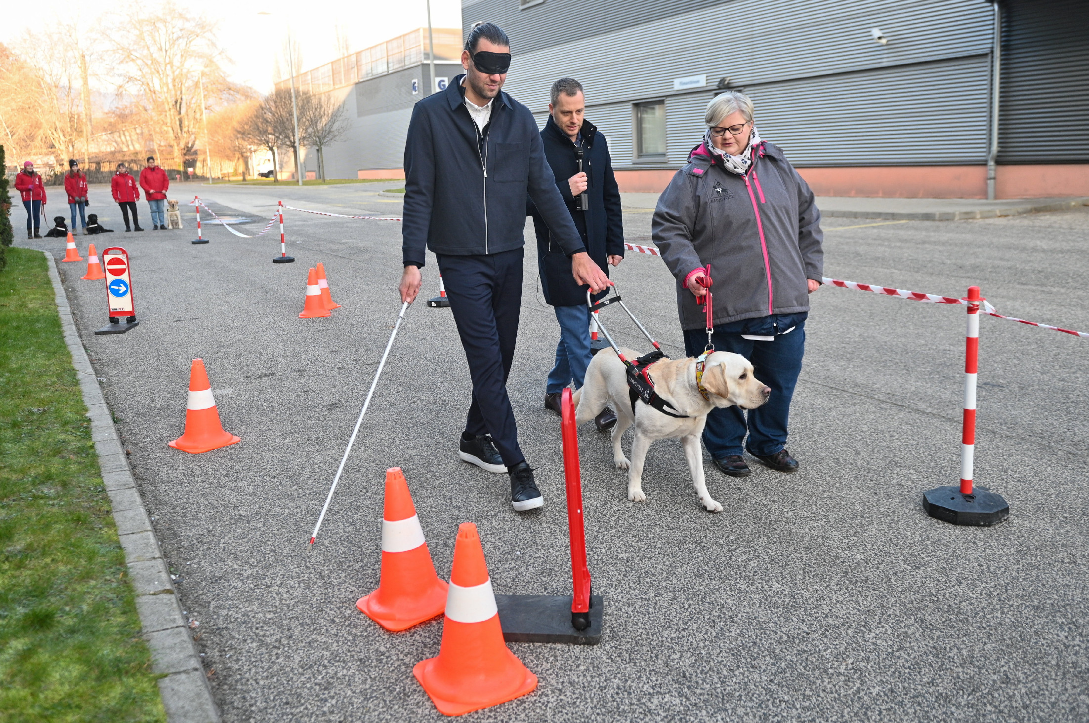 Térítésmentesen látja el az Állatorvostudományi Egyetem a vakvezető kutyákat a jövőben