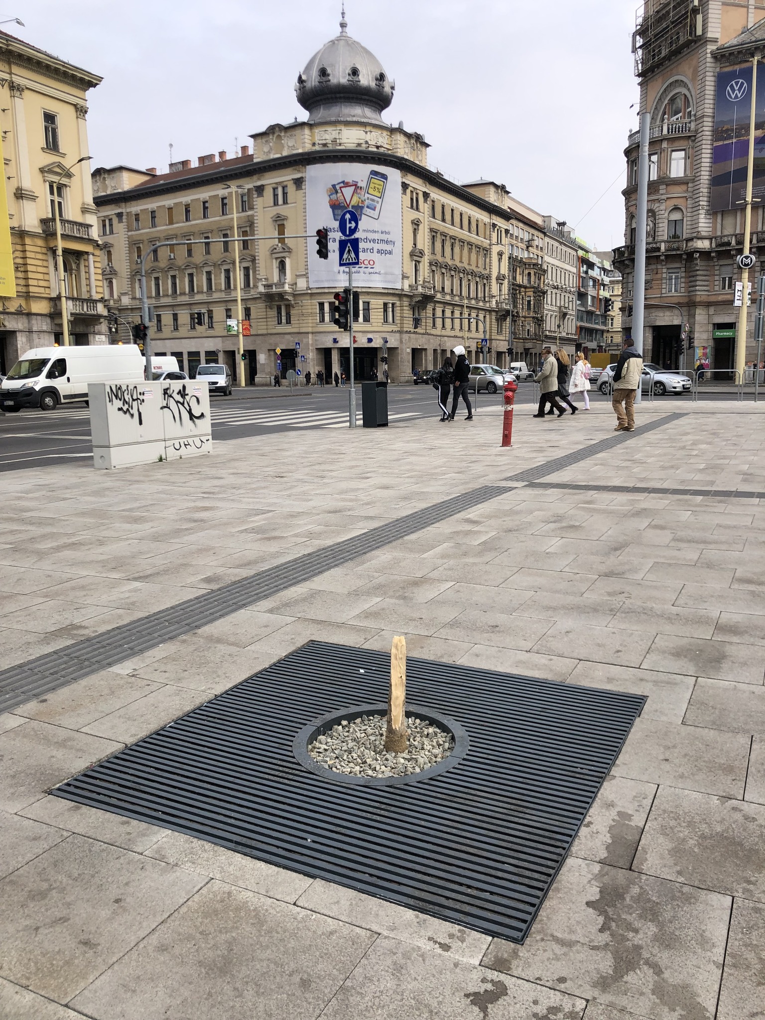 Tövénél törték ki a Blaha Lujza tér egyik fáját