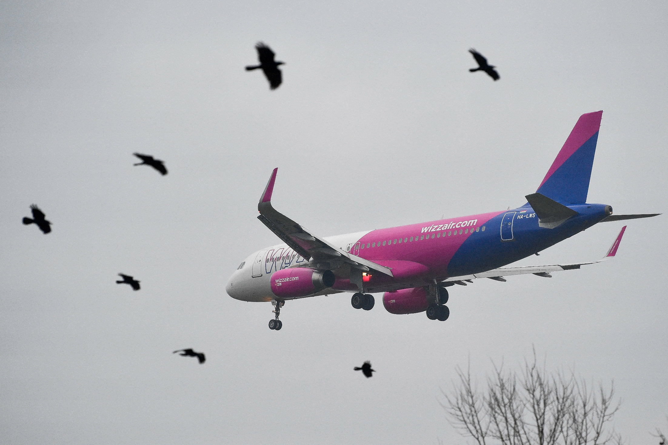 Kitiltották a Wizz Air járatairól a verekedő utast