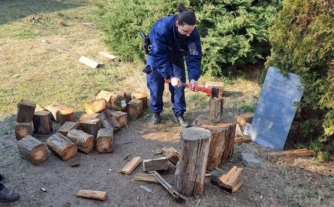 Falopás miatt riasztották a rendőröket, favágás lett belőle