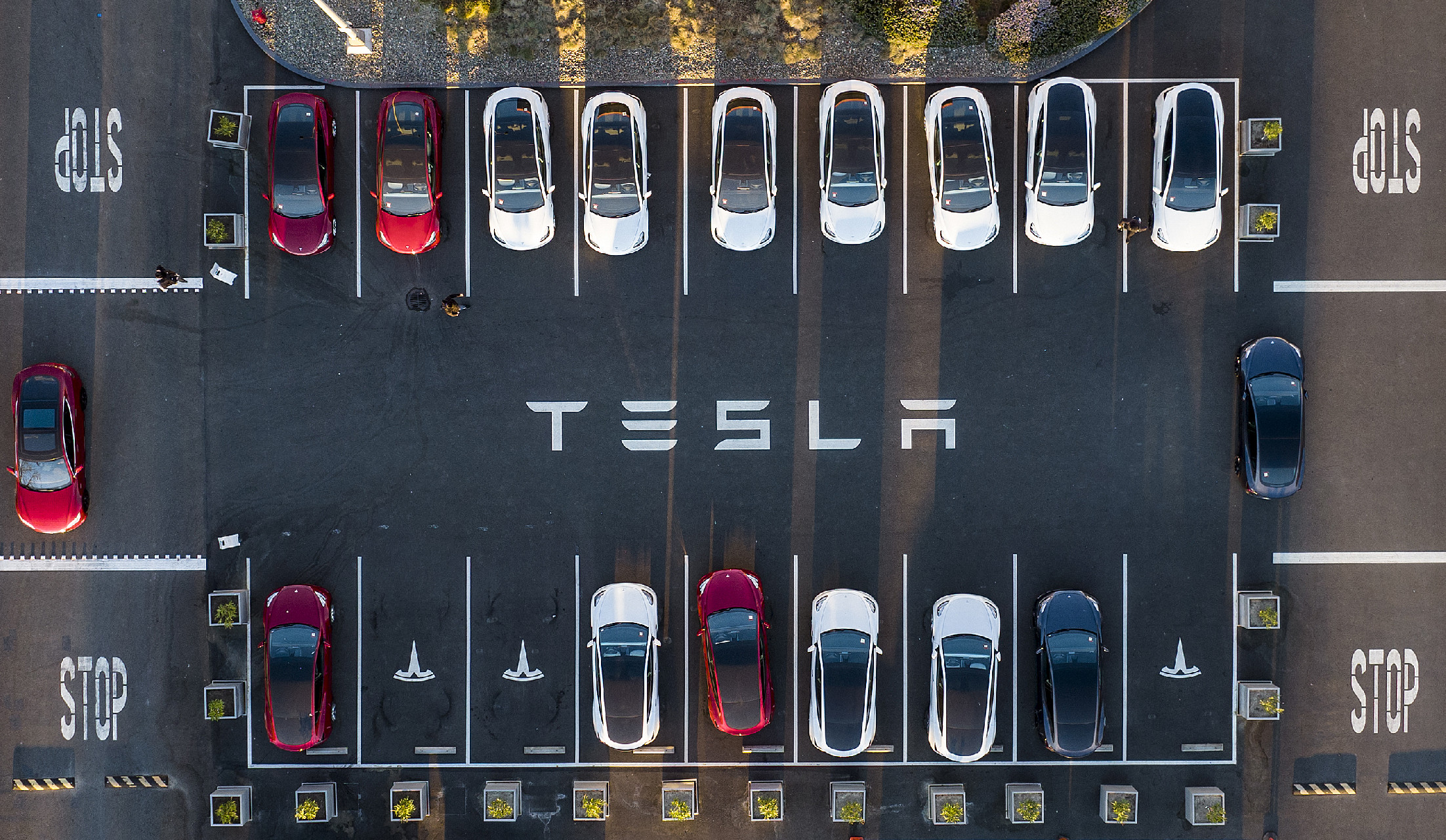 Tesla van a családban? Akkor erről mindenképpen tudnia kell, akár az élete múlhat rajta