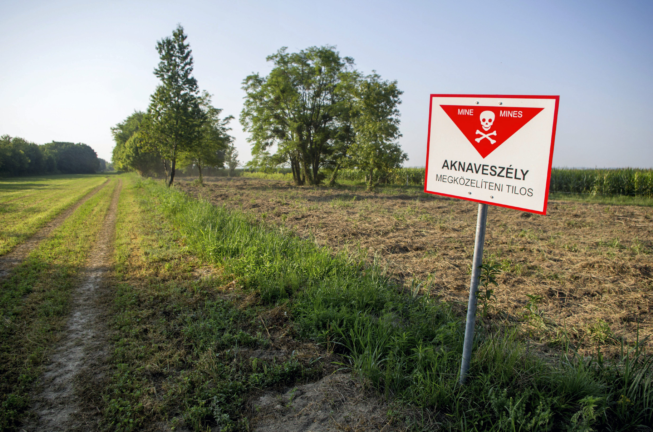 Aknamentesítés közben meghalt két tűzszerész Horvátországban