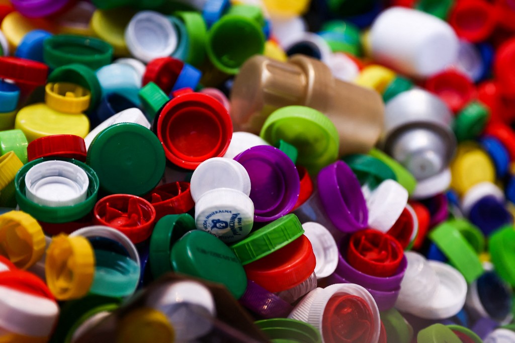 Ausztrál tudósok állítják, hogy két gombatörzs lebontja a műanyagot 140 nap alatt