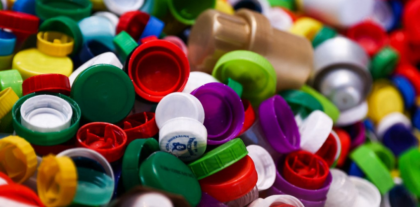 Ausztrál tudósok állítják, hogy két gombatörzs lebontja a műanyagot 140 nap alatt