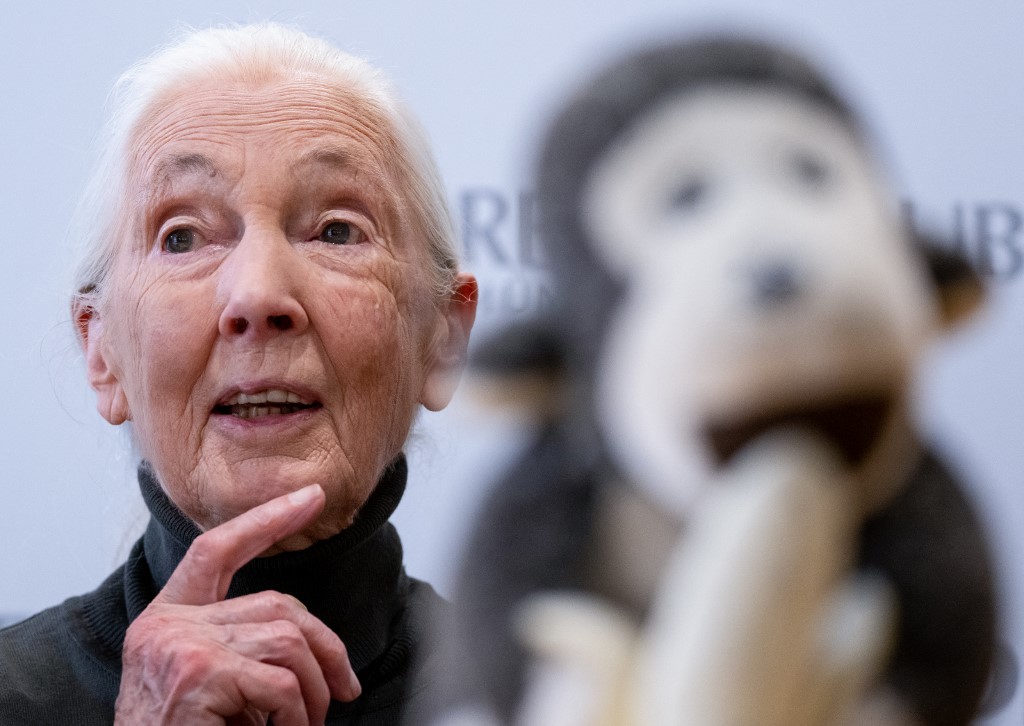 Jane Goodall Budapesten: emberként a spirituális evolúció útjára is rá kell lépnünk