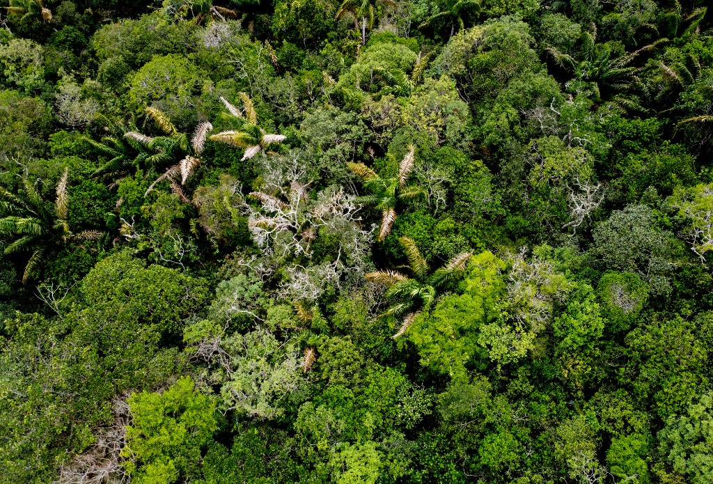 Mégsem találták meg a kolumbiai dzsungelben lezuhant repülőgépen utazó gyerekeket