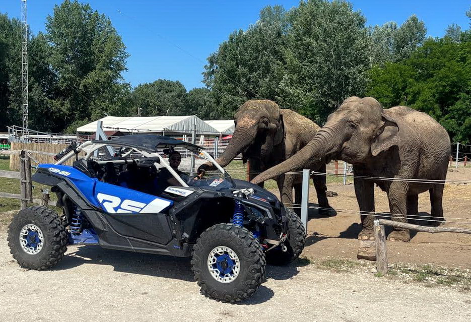 Halálos áldozatok maradtak a tomboló vihar után a nagykőrösi szafariparkban