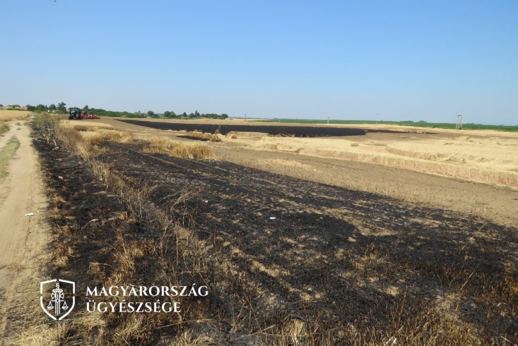 Gyógyszertárba menet felgyújtotta a búzatáblát