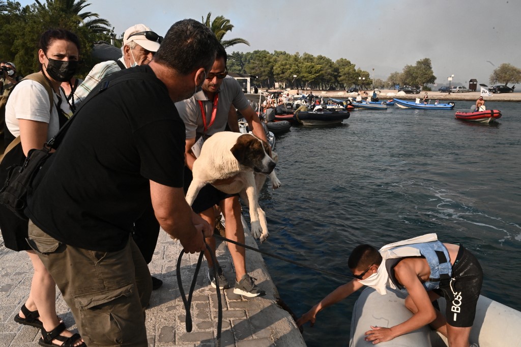 Pótnyaralást kapnak a rodoszi erdőtűz elől elmenekült turisták