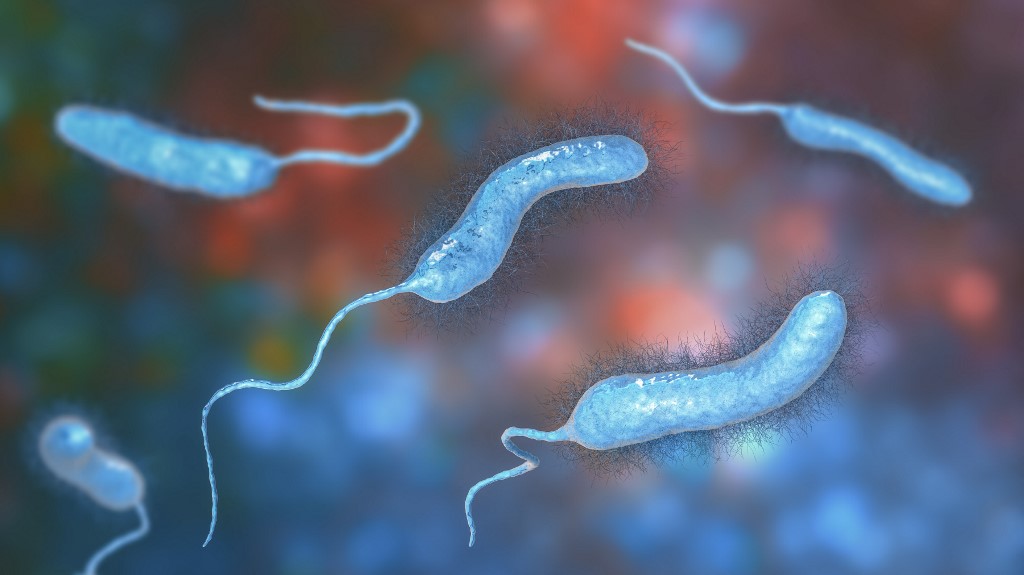 Húsevő baktérium miatt halt meg három ember
