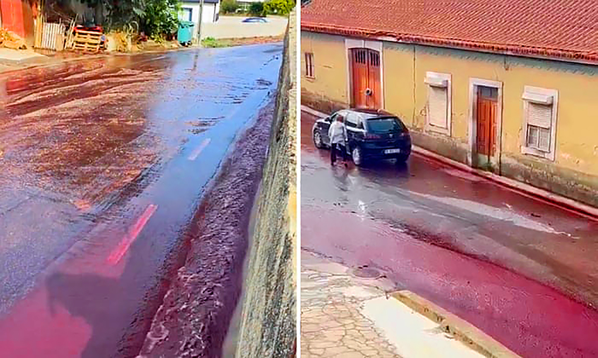 Videó: vörösbor árasztja el a portugál várost