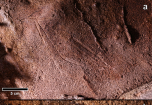 Sosem látott őstörténeti barlangrajzokat tártak fel Spanyolországban (Fotók)