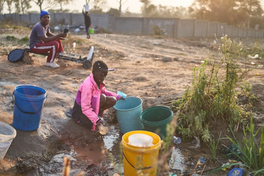 Zimbabwe jelentősen növelné a kertészeti exportját