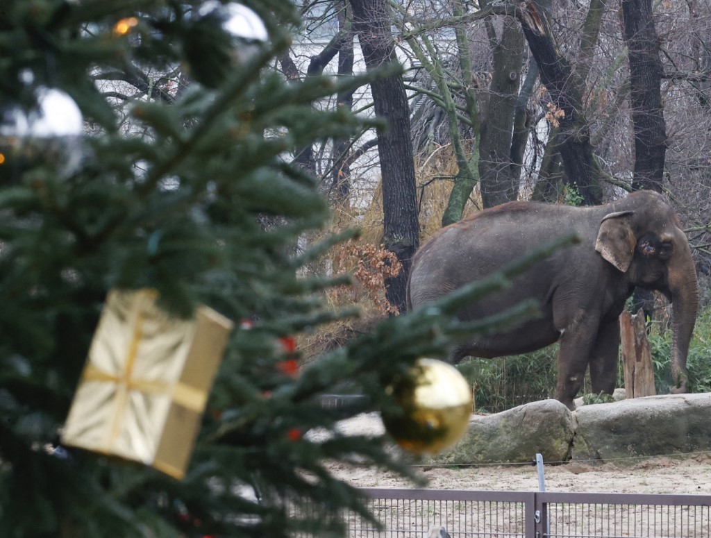 Amíg Budapesten havazott, addig a nyugati országrészt elöntötte a víz 