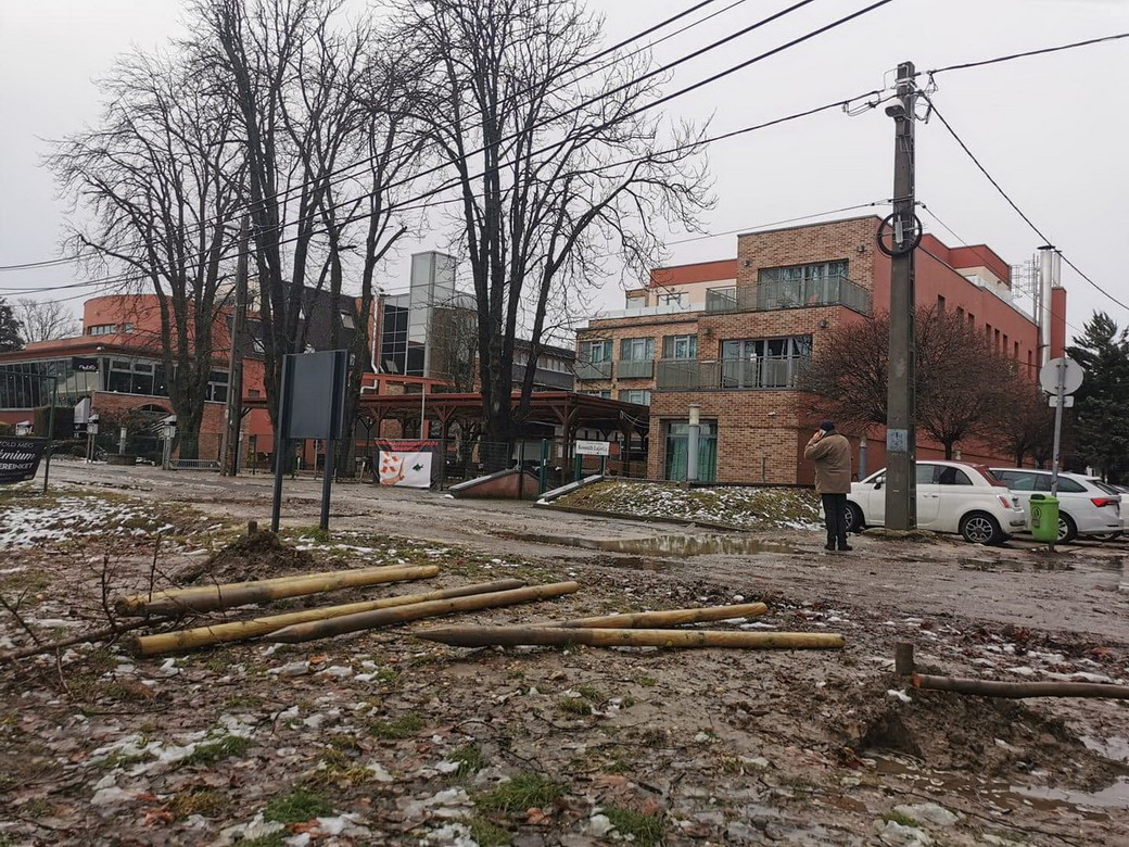A főtéjépítész, Bárdóczi Sándor újabb nemtetszését fejezte ki a jogtalanul kivágott fák ügyében