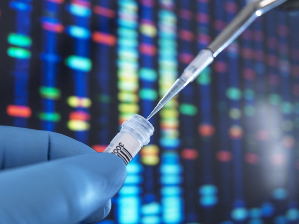 DNS-teszt – Leginkább dilire jó, a következmények viszont nem biztos, hogy viccesek